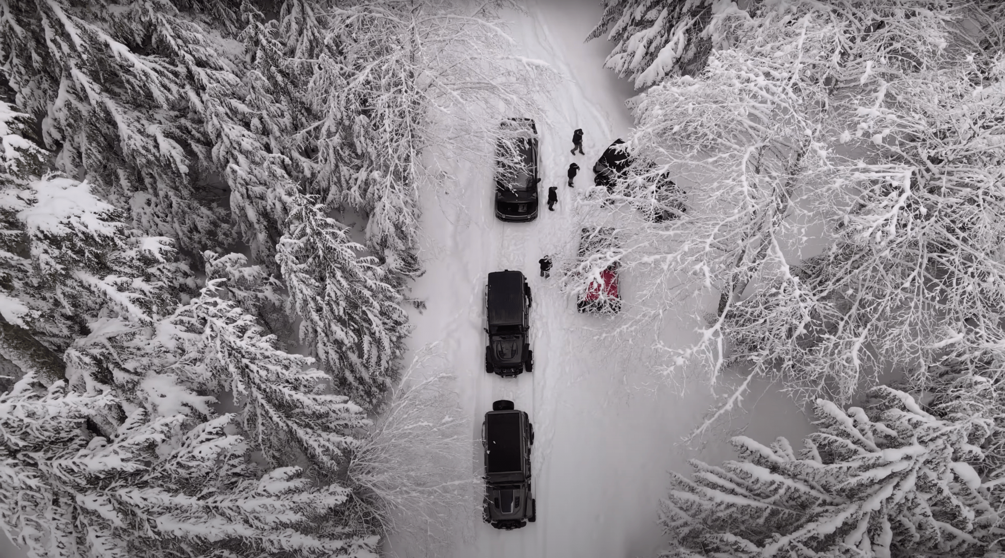 6th Gen Bronco, Rivian R1T, FJ40 and Jeeps Off-Roading through Deep Snow in Oregon Backcountry - Metal Tech 4x4