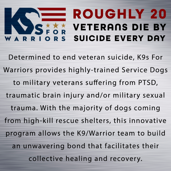 Metal Tech 4x4 USA patch supporting K9s For Warriors, with all proceeds donated to veteran suicide prevention.